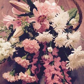 Profile Picture of Jolynn Dobson Cook (@jolynndcook) on Pinterest