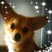 Profile Picture of Lenore Ingram (@lenore.ingram.1) on Facebook