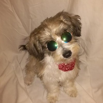 Profile Picture of Jasmine Bateman (@JasmineBateman6) on Twitter