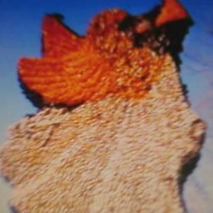 Profile Picture of Kathy Trowbridge (@kathy.trowbridge) on Facebook