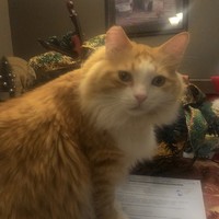 Profile Picture of Catherine Gonzalez (@catherine-gonzalez-68) on Quora