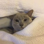 Profile Picture of Steve Hodgkinson (@hodgkinson.steve) on Instagram