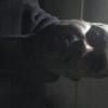 Profile Picture of James Shealey225 (@@jamesshealey8) on Tiktok