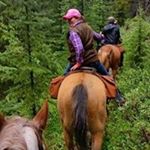 Profile Picture of Tracey Carey (@carey_pastoral) on Instagram