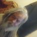 Profile Picture of Steven Botts (@steven.botts.75) on Facebook