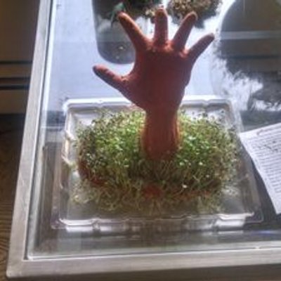 Profile Picture of Michael Gugerty (@TheGoog78) on Twitter