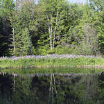Profile Picture of The Nameless Wonder (@the nameless wonder) on Flickr
