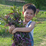 Profile Picture of %u65e9%u8d77%u8543%u8304%u5abd (@%u65e9%u8d77%u8543%u8304%u5abd) on Flickr