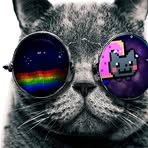 Profile Picture of Nathan De Gieter (@Nathan-De-Gieter) on Facebook