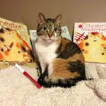 Profile Picture of Ms. Colquhoun (@amanda_colquhoun) on Instagram