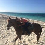 Profile Picture of Nancy Loof (@nancyloof) on Instagram