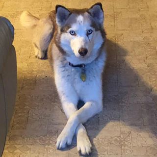 Profile Picture of Thomas Wakefield (@thomas.wakefield.374) on Facebook