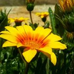 Profile Picture of reem.mohammad (@reem.mohammad475) on Instagram
