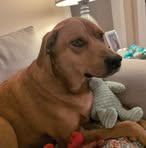 Profile Picture of Sherry Abbott (@sherry.abbott.581258) on Facebook