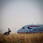 Alex Costello - Instagram Profile Picture of Alex Costello (@infinite.flight.costello) on Instagram