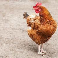 Profile Picture of Loretta Watts  (@loretta-watts-7) on Quora