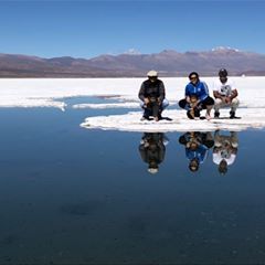 Profile Picture of Daniela Spisso (@danielaspisso) on Tiktok