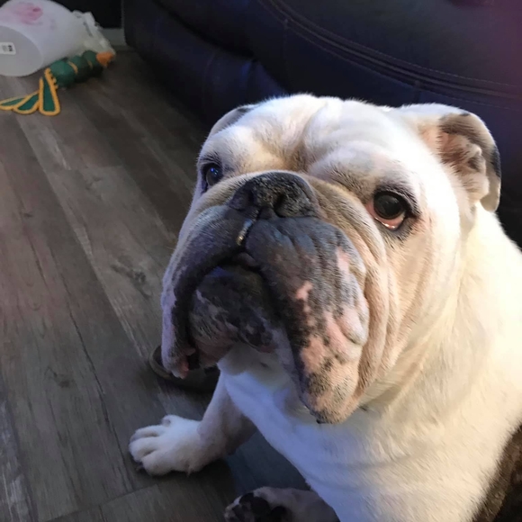 Profile Picture of Rob Goodman (@tat2drob) on Poshmark