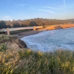 Profile Picture of Burt Sells (@Burt-Sells) on Facebook