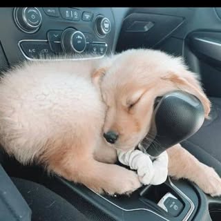 Profile Picture of Kizzy Wilson (@kwilson_2148) on Instagram