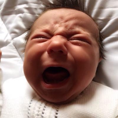 Profile Picture of Daniel (@Padani20) on Twitter