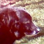 Robin Evans - Facebook Profile Picture of Robin Evans (@robin.scullin.9) on Facebook