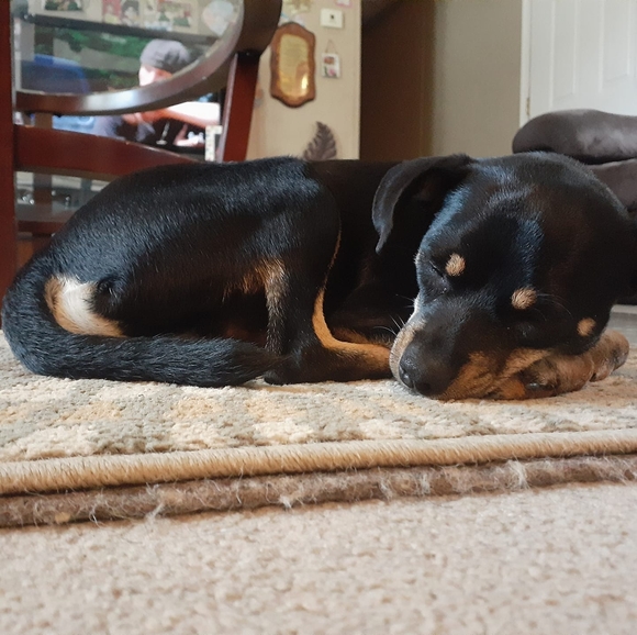 Profile Picture of Curtis Franklin (@curtisfrankl188) on Poshmark