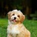 Profile Picture of JINLING ZHANG (@zjinling99) on Pinterest