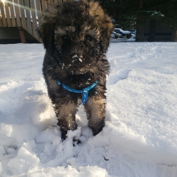 Profile Picture of Erika Callahan (@erika_callahan) on Poshmark