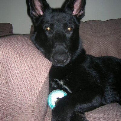 Profile Picture of Dawn Harrell (@marvelgirl13) on Twitter