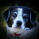 Profile Picture of Doug Kerr (@doug.kerr75) on Instagram