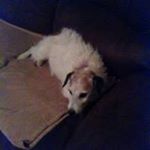 Profile Picture of Richard Bumpus (@richard.bumpus.94) on Instagram