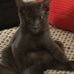 Profile Picture of Bruce Keast (@Bruce-Keast) on Facebook