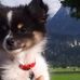 Profile Picture of Michael Schein (@michael.schein.946) on Facebook