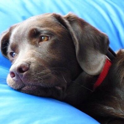 Profile Picture of Jo Rose (@jorose80) on Twitter