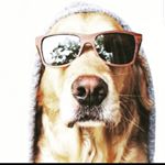 Profile Picture of Ada Moreno Villero (@ada_sonko) on Instagram