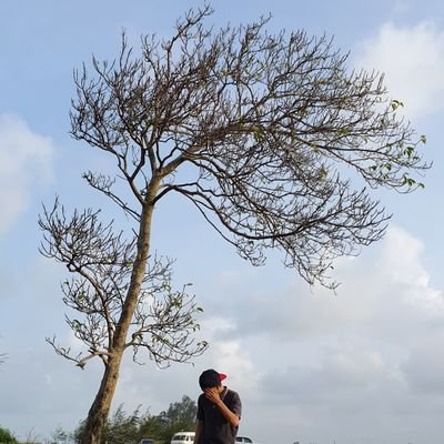 Profile Picture of Maou (@Ursol_) on Twitter