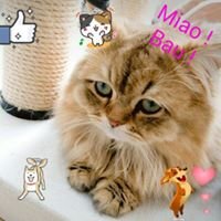 Bianca Rosa Carmelo - Twitter Profile Picture of Bianca Rosa Carmelo (@BiancarosaCarm1) on Twitter