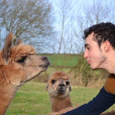 Profile Picture of Matthew Beresford (@mattberesford92) on Twitter