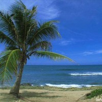 Hiram Santiago - Quora Profile Picture of Hiram Santiago (@hiram-santiago-2) on Quora