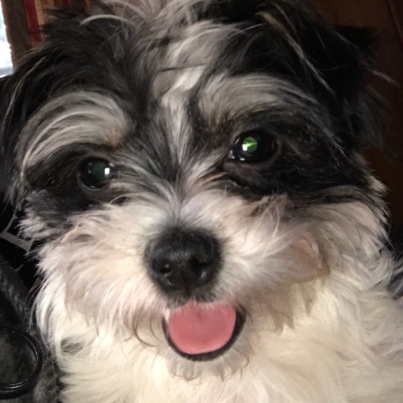 Profile Picture of Dawn Hirn (@dawnhirn) on Poshmark