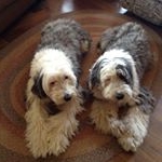 Diane Bartlett - Instagram Profile Picture of Diane Bartlett (@dianebartlett2969) on Instagram