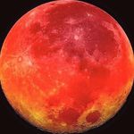 Profile Picture of :| (@pablopauldo) on Instagram