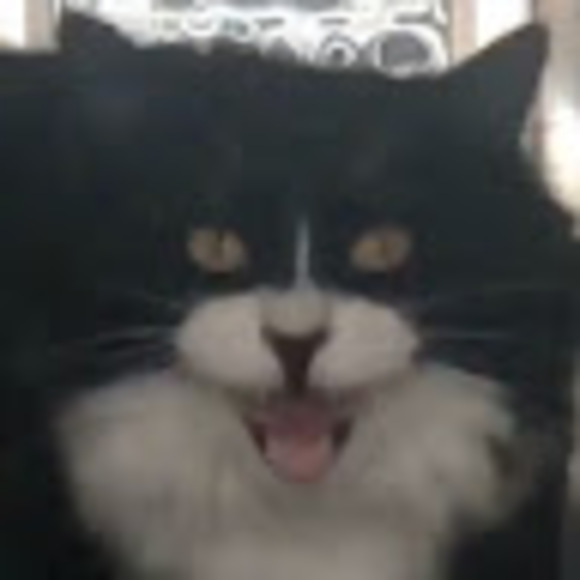 Profile Picture of Aiden Reitenbaugh (@aidesbabes) on Poshmark