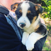 Profile Picture of Kyle Covey (@kylecovey316) on Youtube