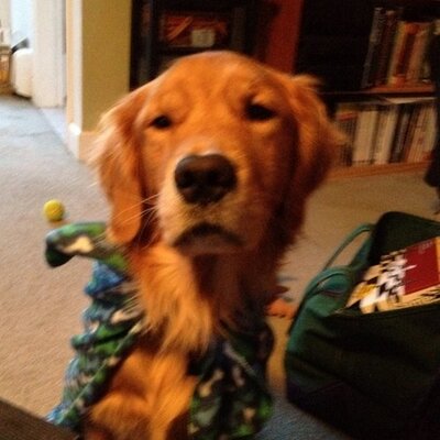 Profile Picture of Michael Urban (@BostonMUrban) on Twitter