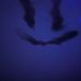 Profile Picture of Joseph Blexrude (@joseph.blexrude) on Facebook