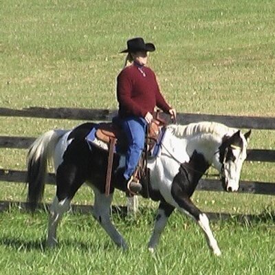 Profile Picture of Cathy Huddleston (@CathyChallengeU) on Twitter