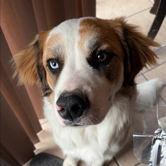 Profile Picture of Alex Picazo (@plxelalexlp) on Poshmark