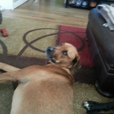 Profile Picture of Travis Slaughter (@tslaughter4) on Twitter